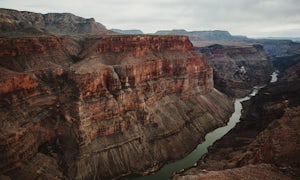 Explore the Toroweap Overlook