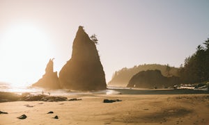 Rialto Beach to the Sea Stacks