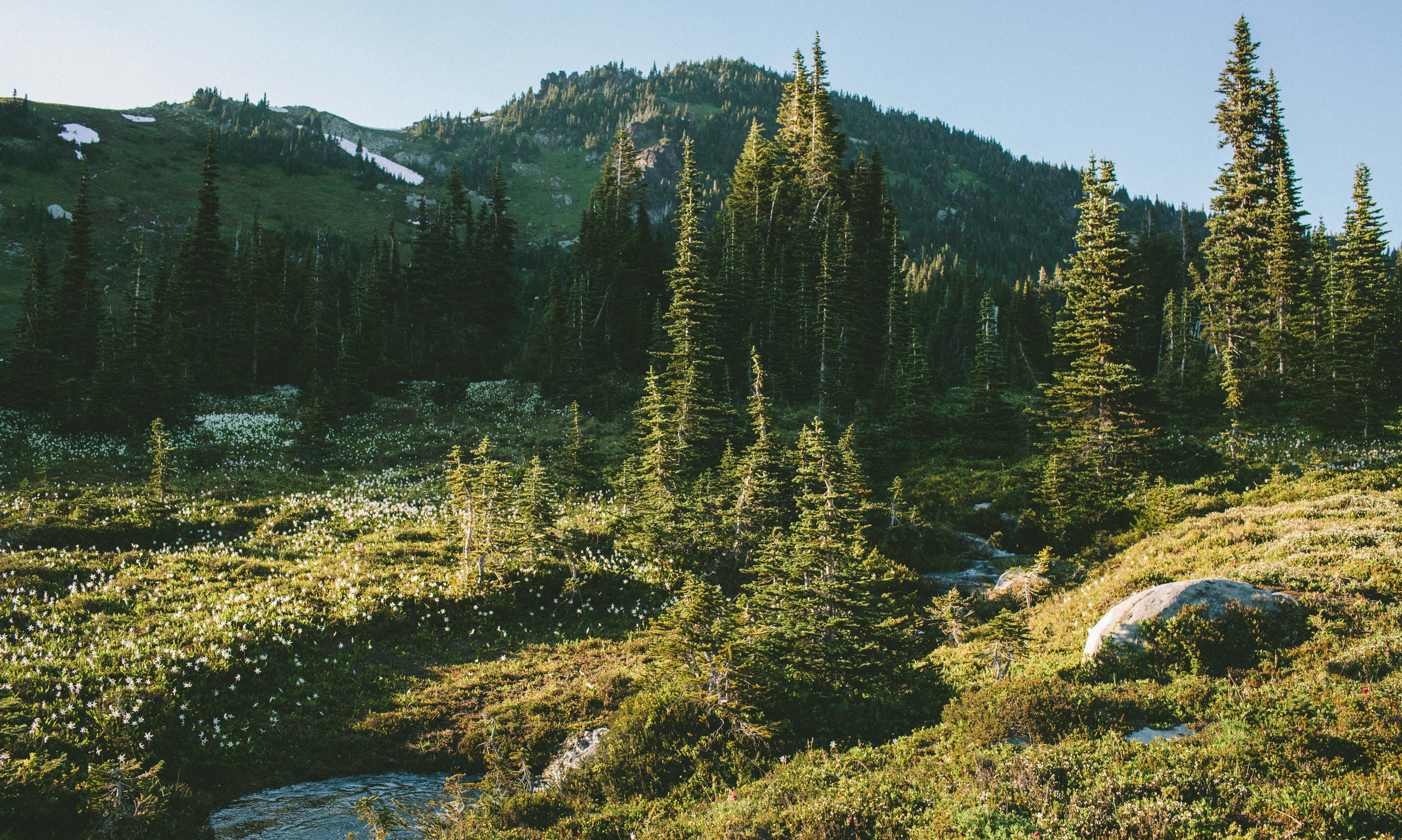 Spray Park via Mowich Campground