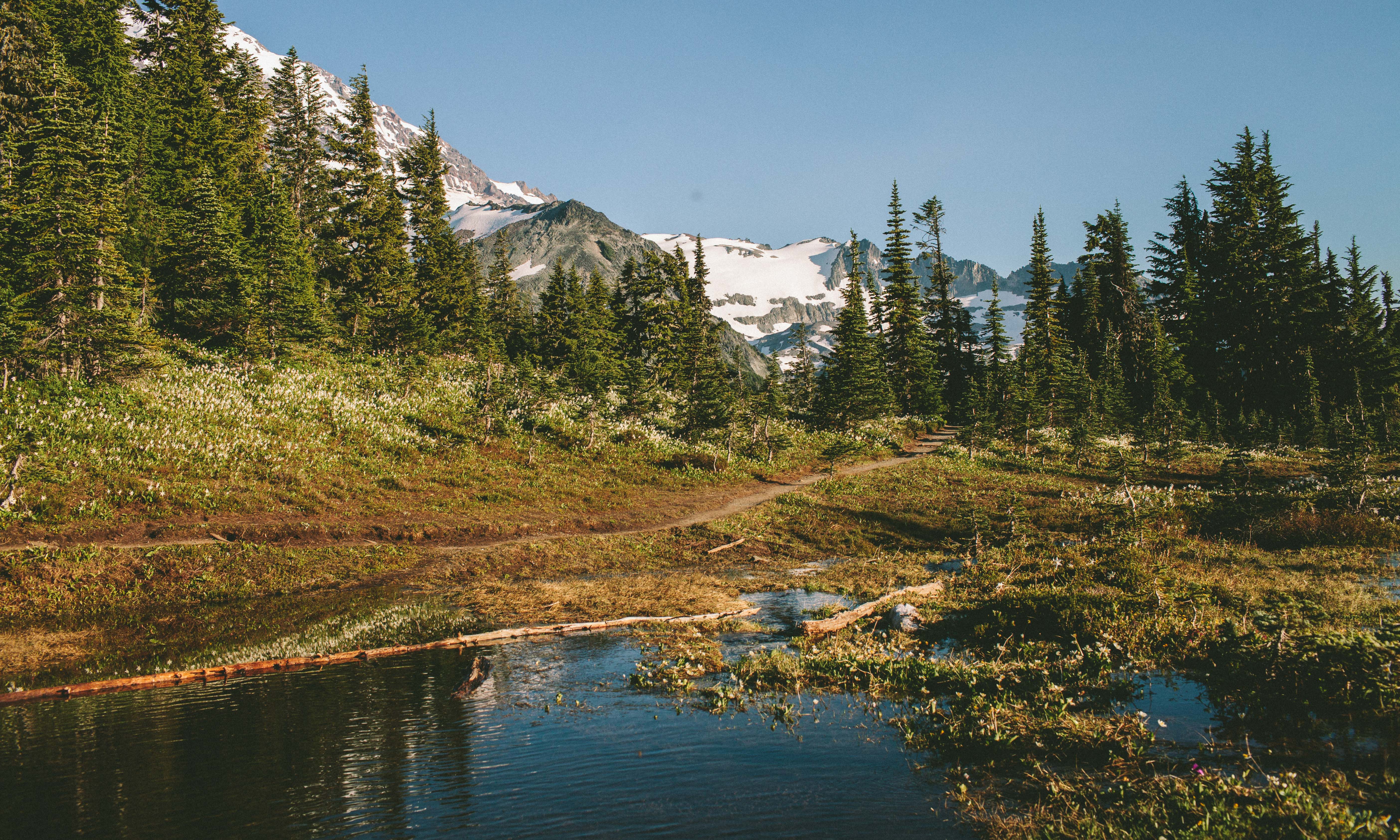 Spray Park via Mowich Campground