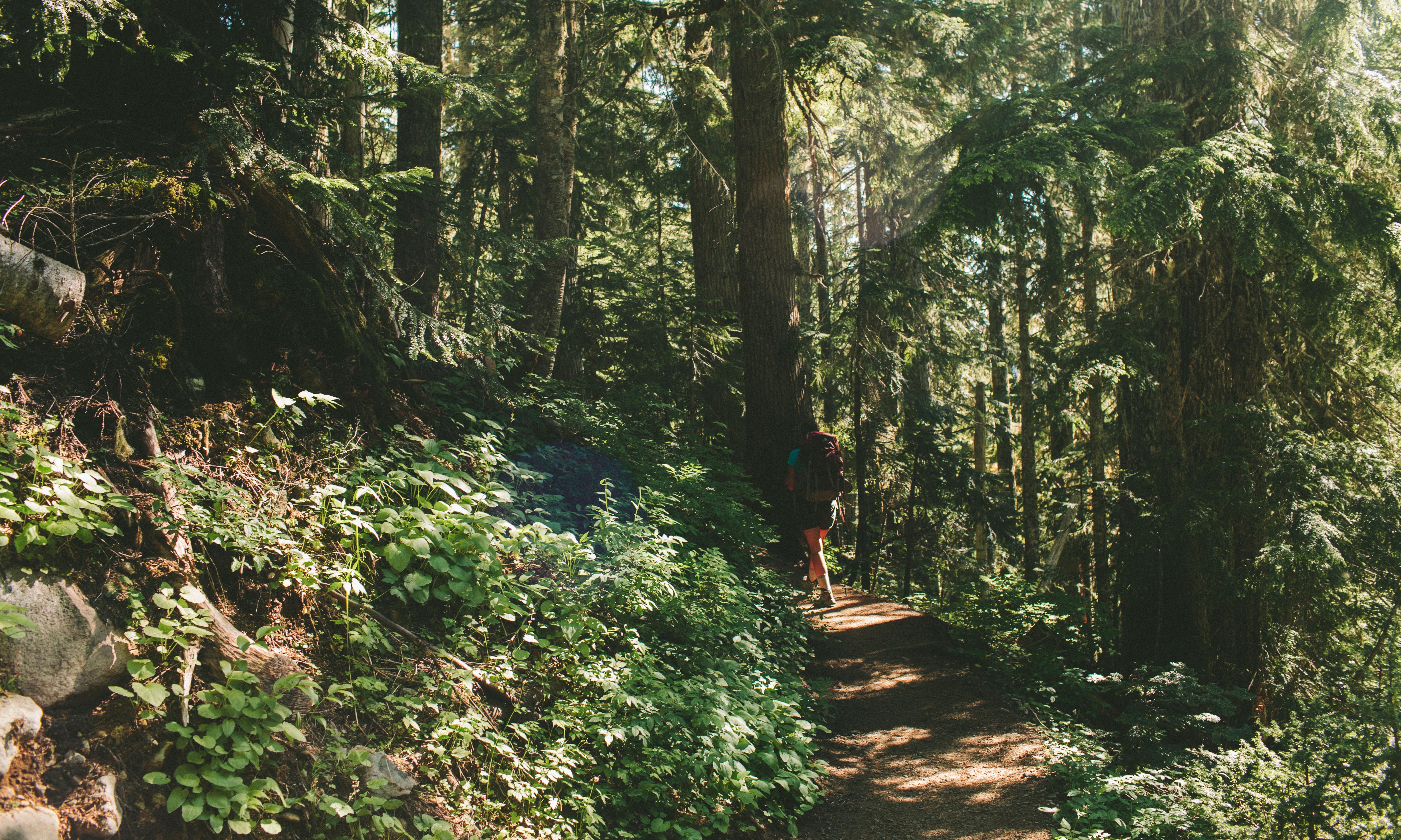Spray Park via Mowich Campground