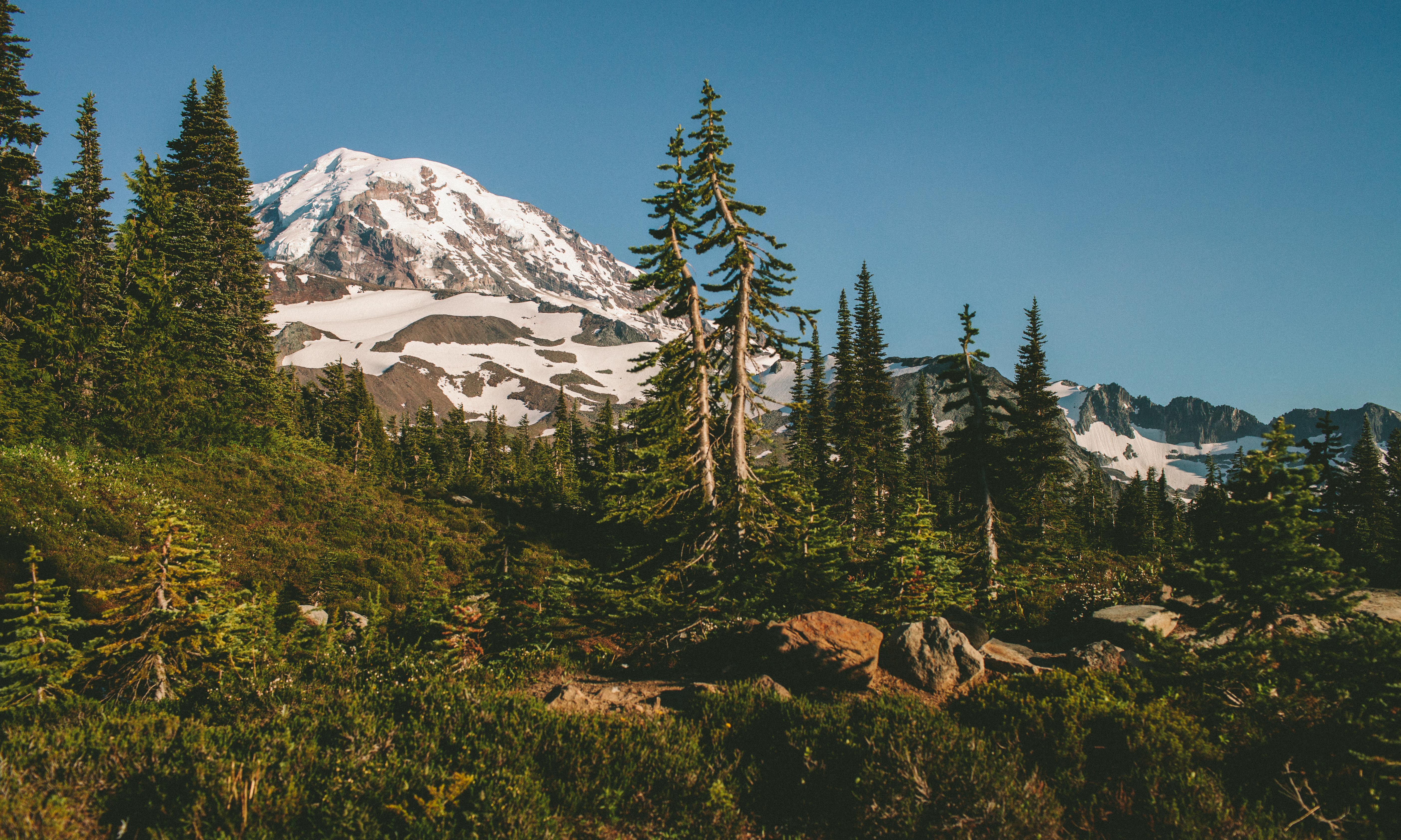 Hike to Spray Park, Ashford, Washington