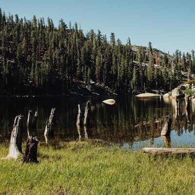 Backpack to Bear Lake (Emigrant Wilderness)