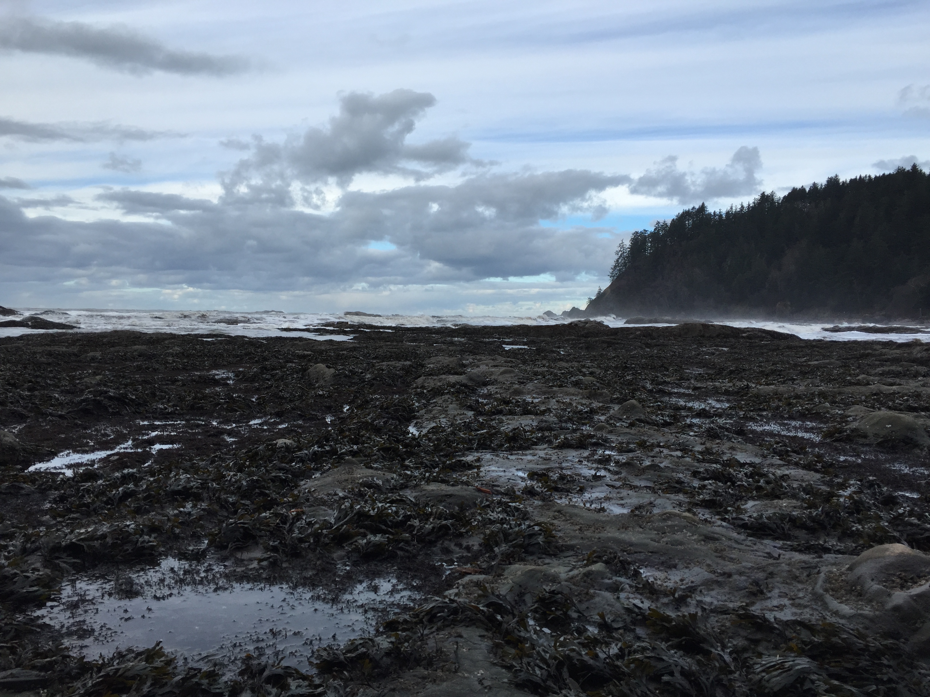 Rialto Beach and Hole-in-the-Wall