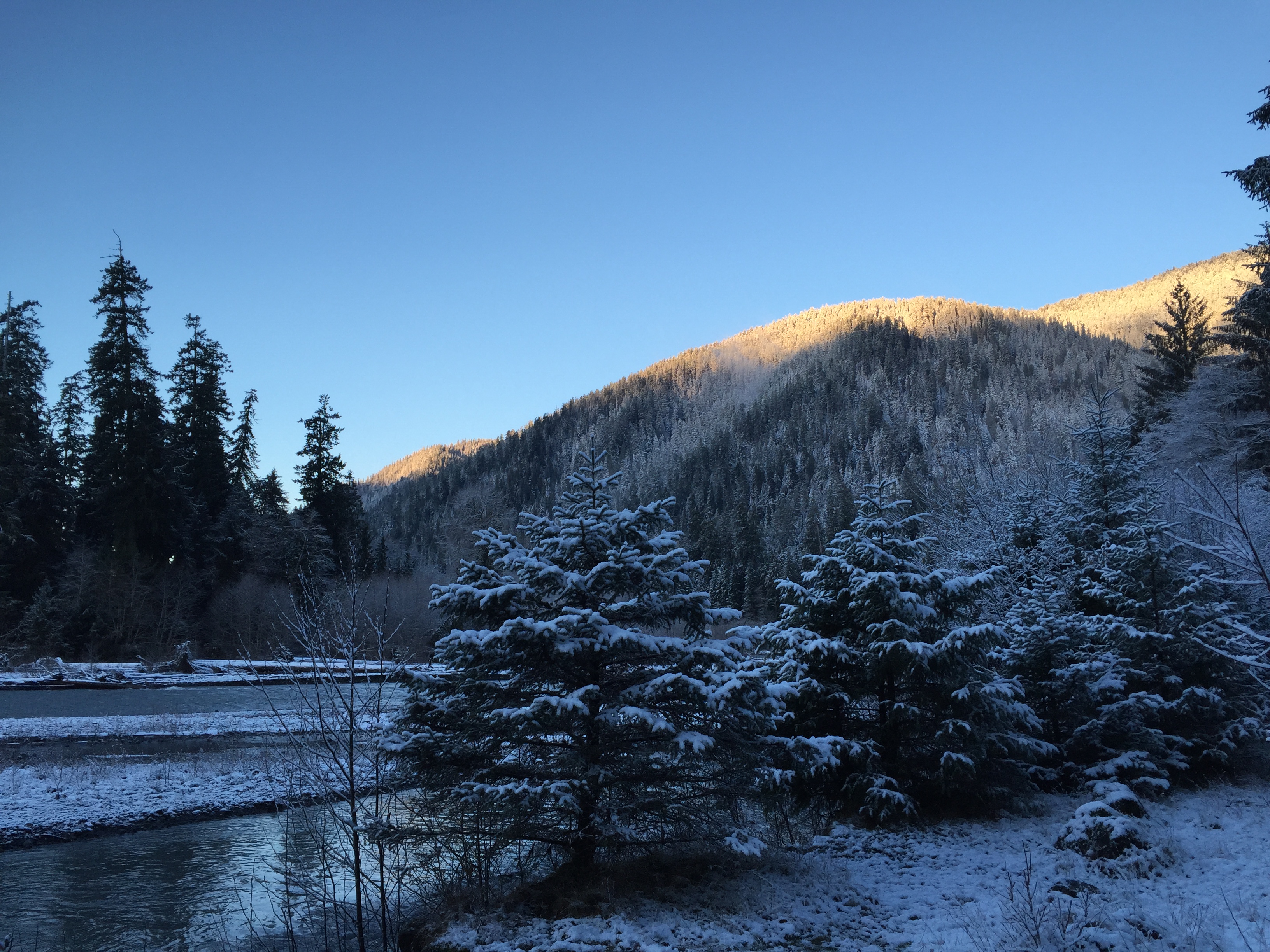 Hoh Rainforest and Hall Of Mosses