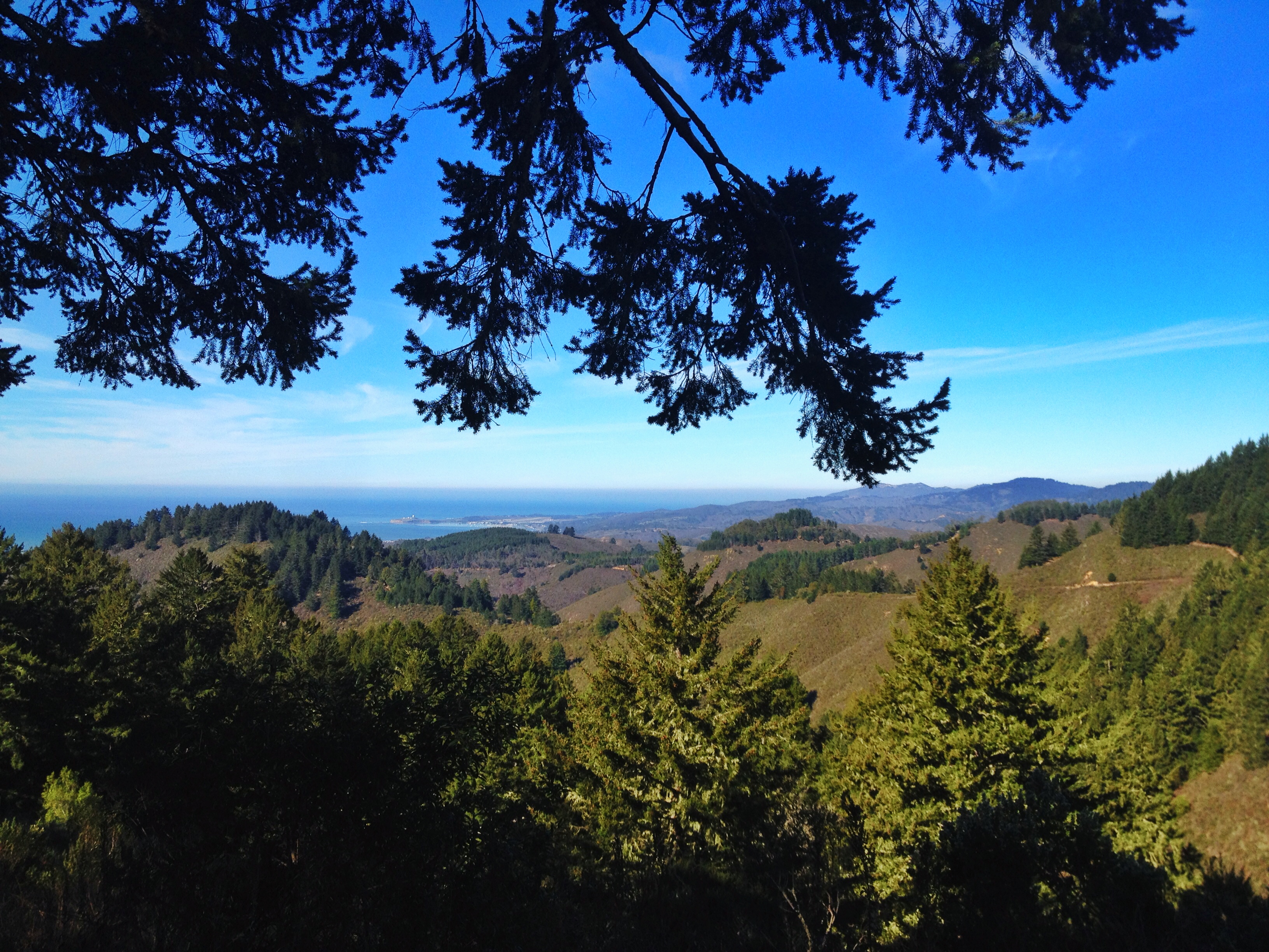 Whittemore Gulch and Harkins Ridge Loop Trail	