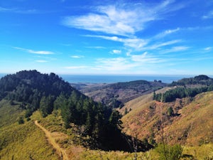Whittemore Gulch and Harkins Ridge Loop Trail	
