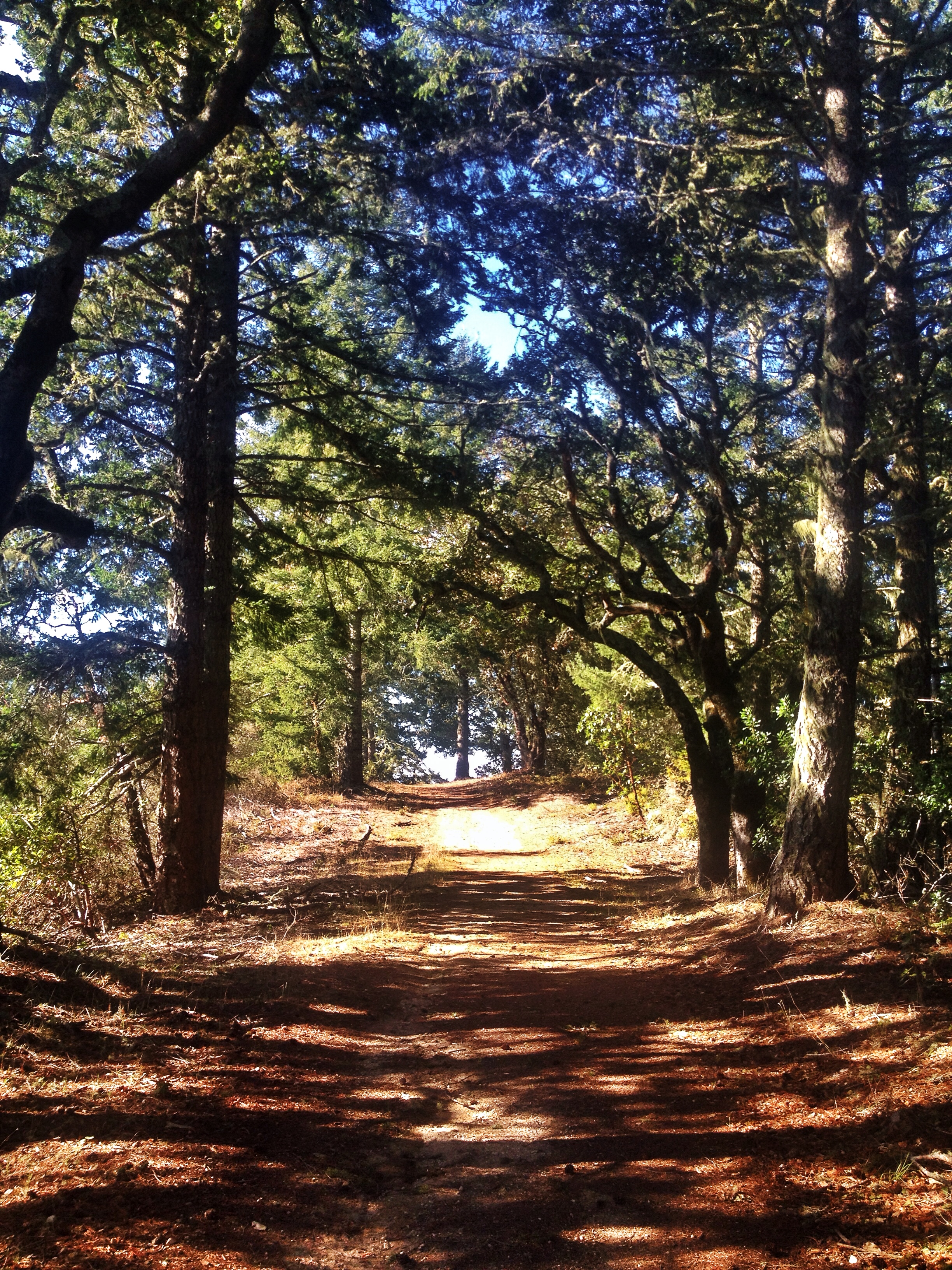 Whittemore Gulch and Harkins Ridge Loop Trail	