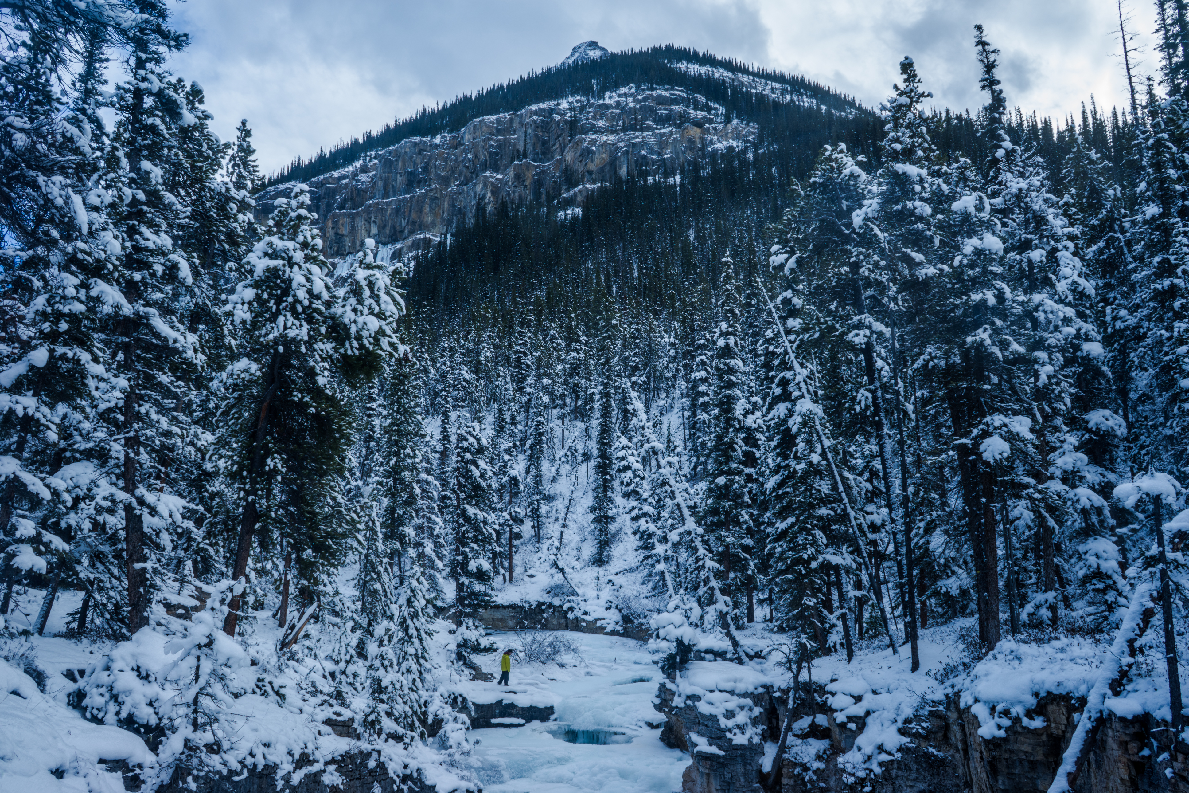 Explore Beauty Creek in Winter