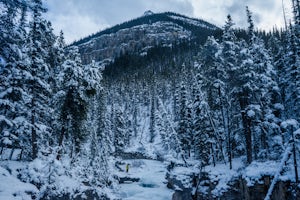 Explore Beauty Creek in Winter