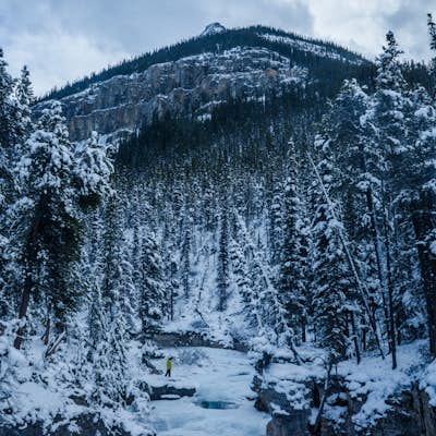 Explore Beauty Creek in Winter