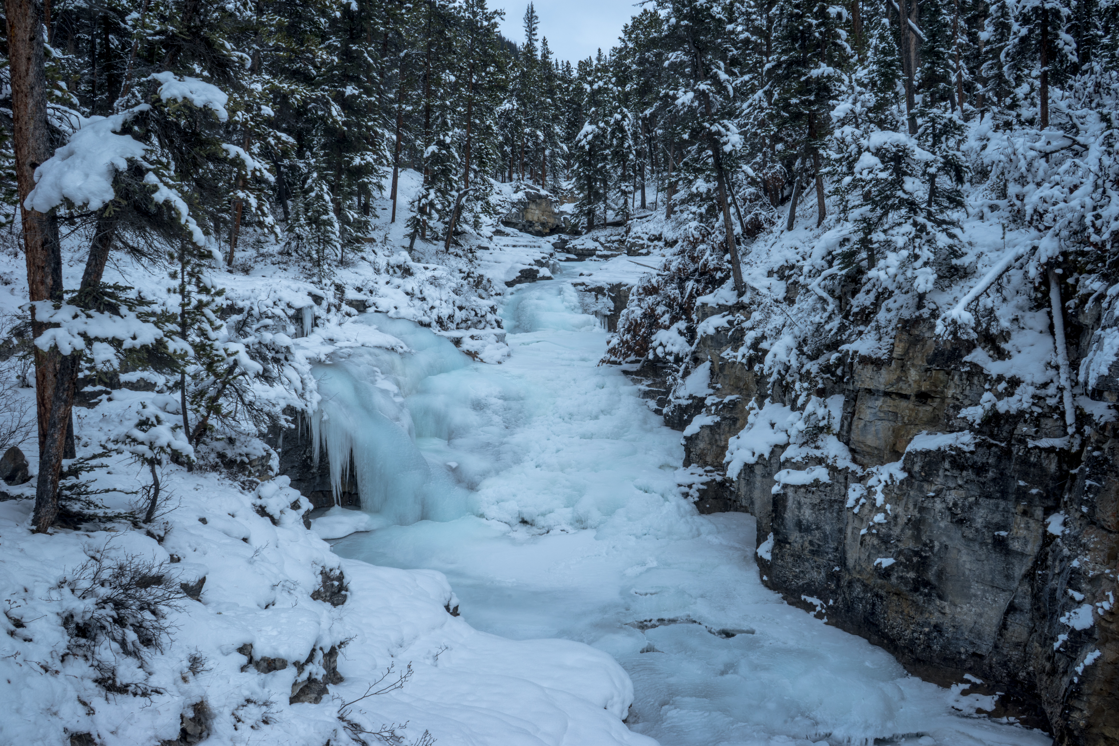 Explore Beauty Creek in Winter