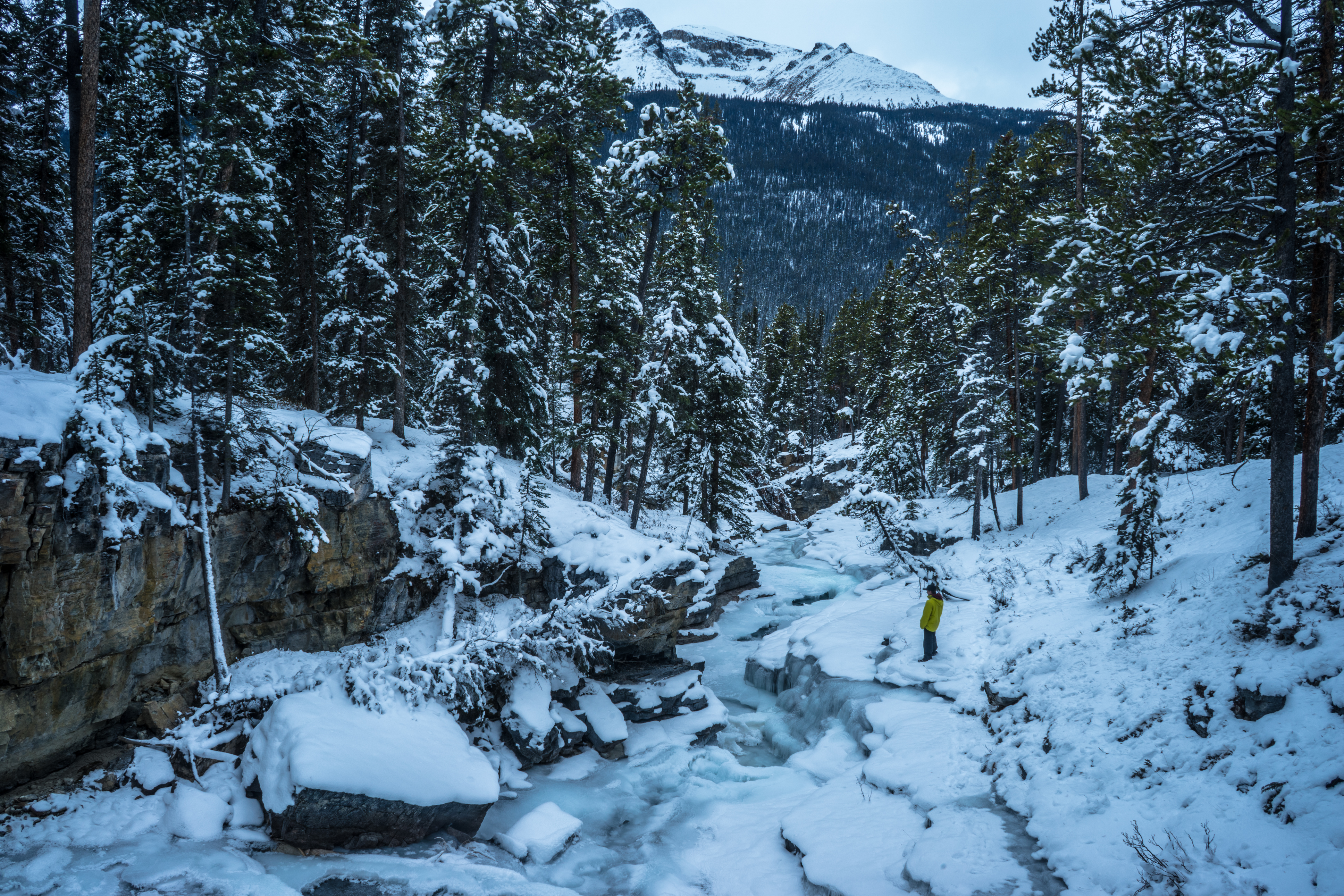 Explore Beauty Creek in Winter