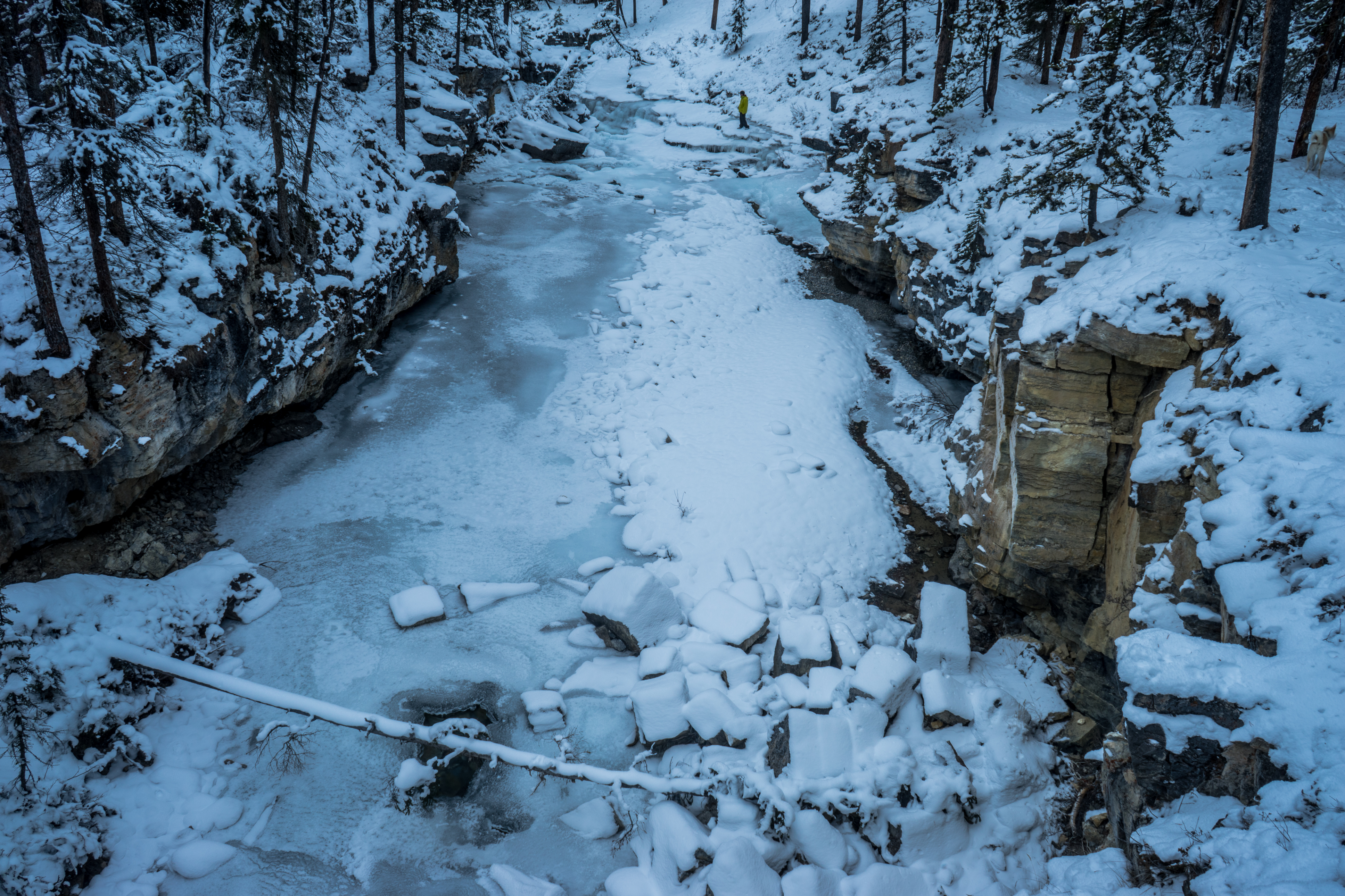 Explore Beauty Creek in Winter