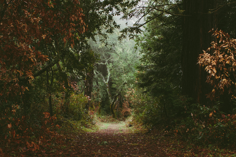 Andrew Molera State Park Loop