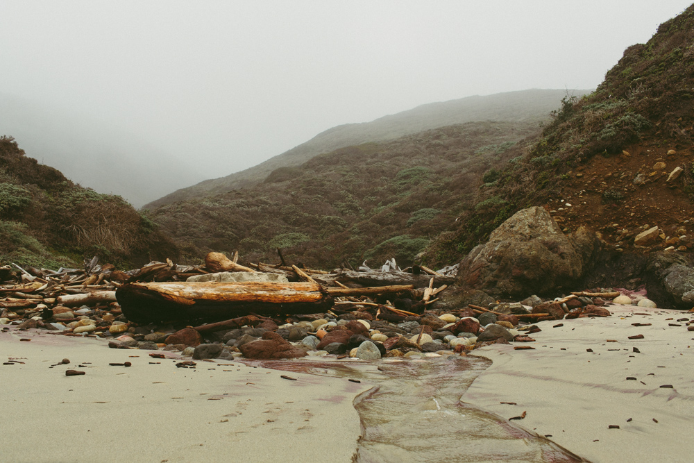 Andrew Molera State Park Loop