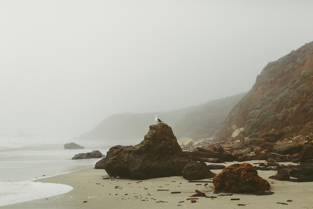 Andrew Molera State Park Loop