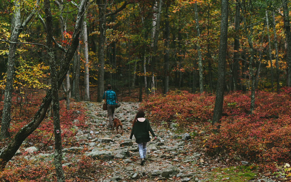 Mt. Tammany via Red Dot Trail