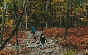 Hike Mt. Tammany via Red Dot Trail