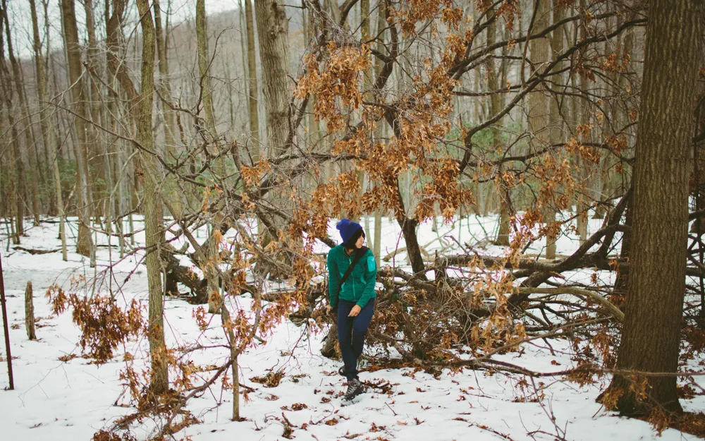 Hike Valley Forge