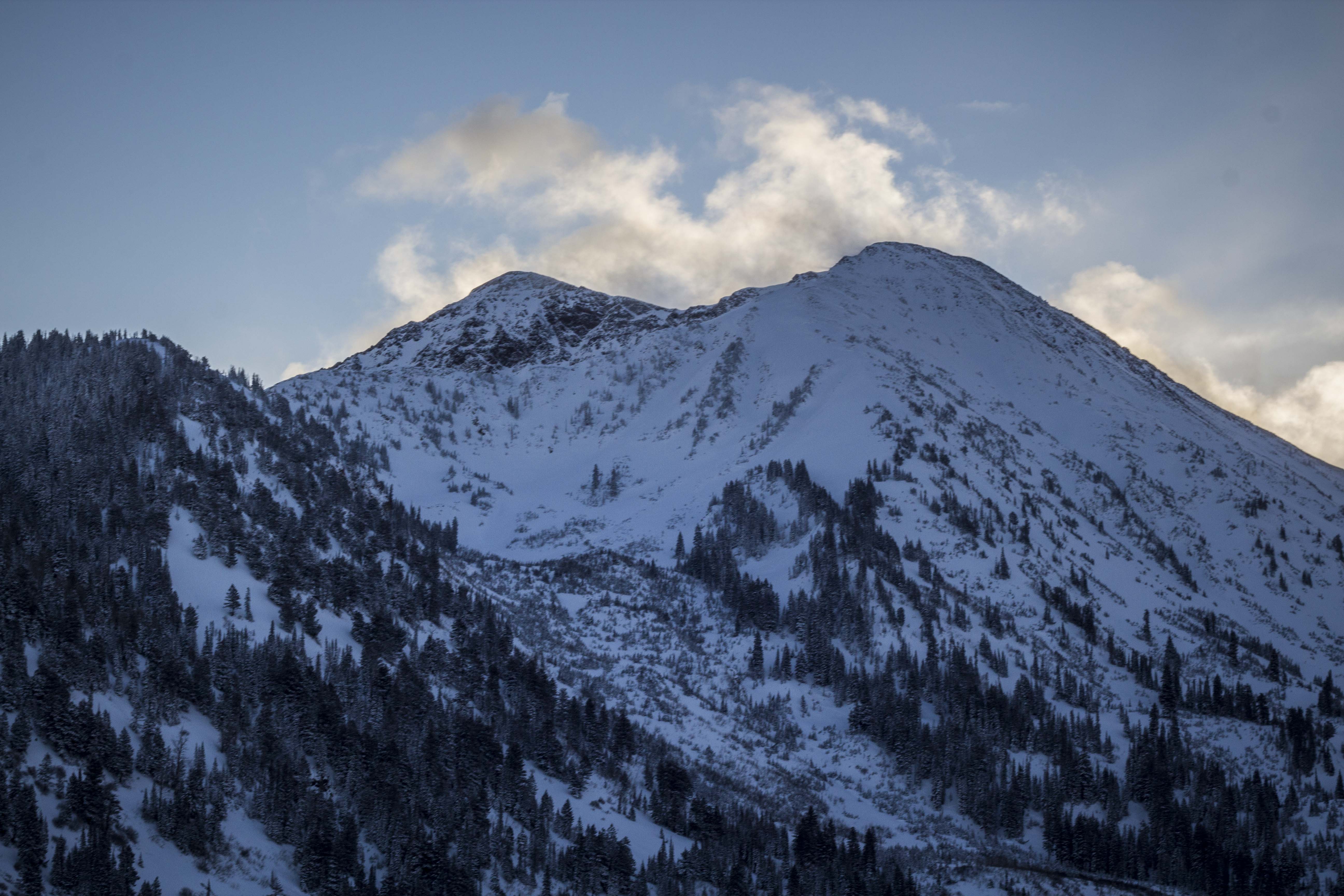 Ski or Snowboard Pink Pine Ridge