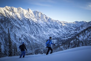 Ski or Snowboard Pink Pine Ridge