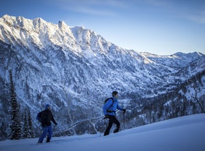 Ski or Snowboard Pink Pine Ridge