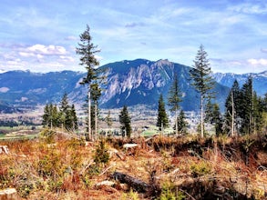 Hike Rattlesnake Mountain