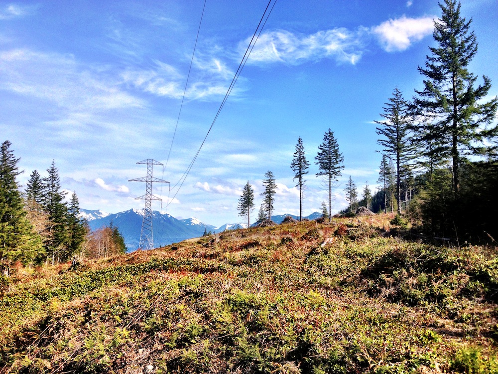 Rattlesnake Mountain Trail