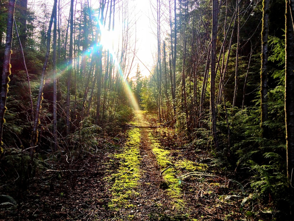 Rattlesnake Mountain Trail