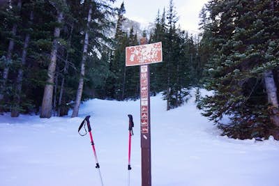 Ski or Snowshoe McCullough Gulch