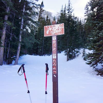 Ski or Snowshoe McCullough Gulch
