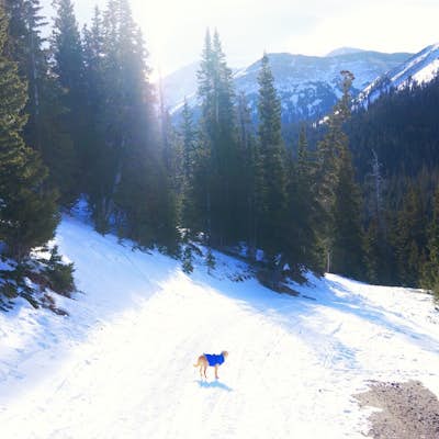 Ski or Snowshoe Jones Pass