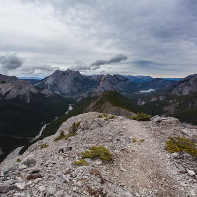 Hike to the Top of the Wasootch Ridge