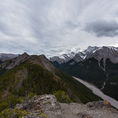 Hike to the Top of the Wasootch Ridge