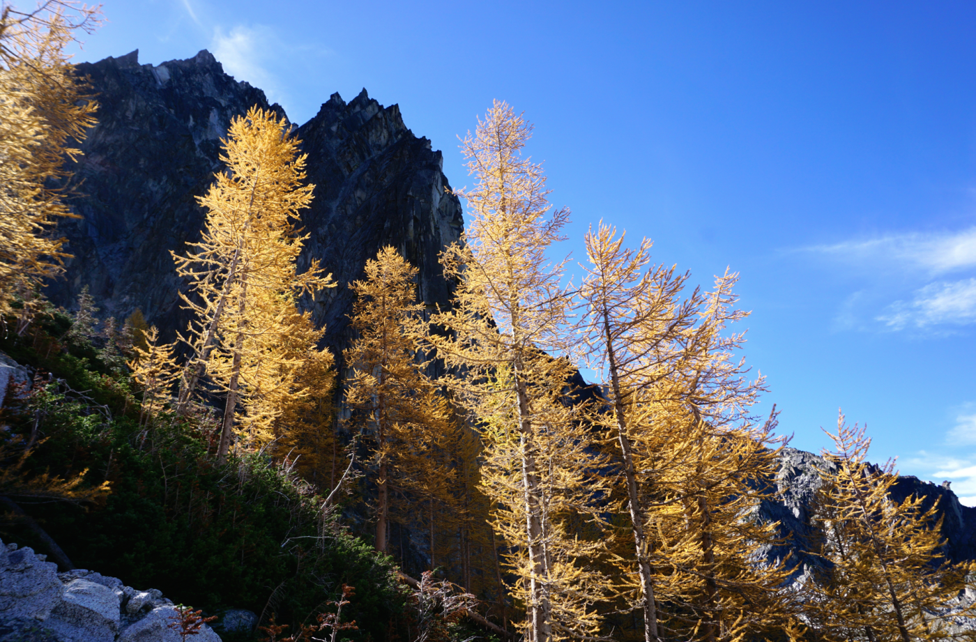 Aasgard Pass via Stuart Lake Trail