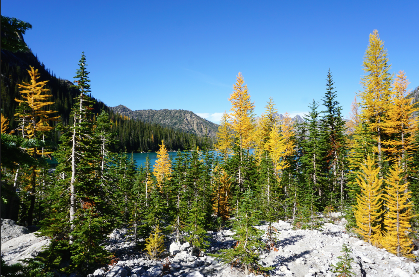 Aasgard Pass via Stuart Lake Trail