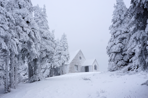 Snowshoe to the Mt. Spokane Summit