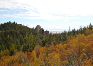 Hike along Iller Creek 