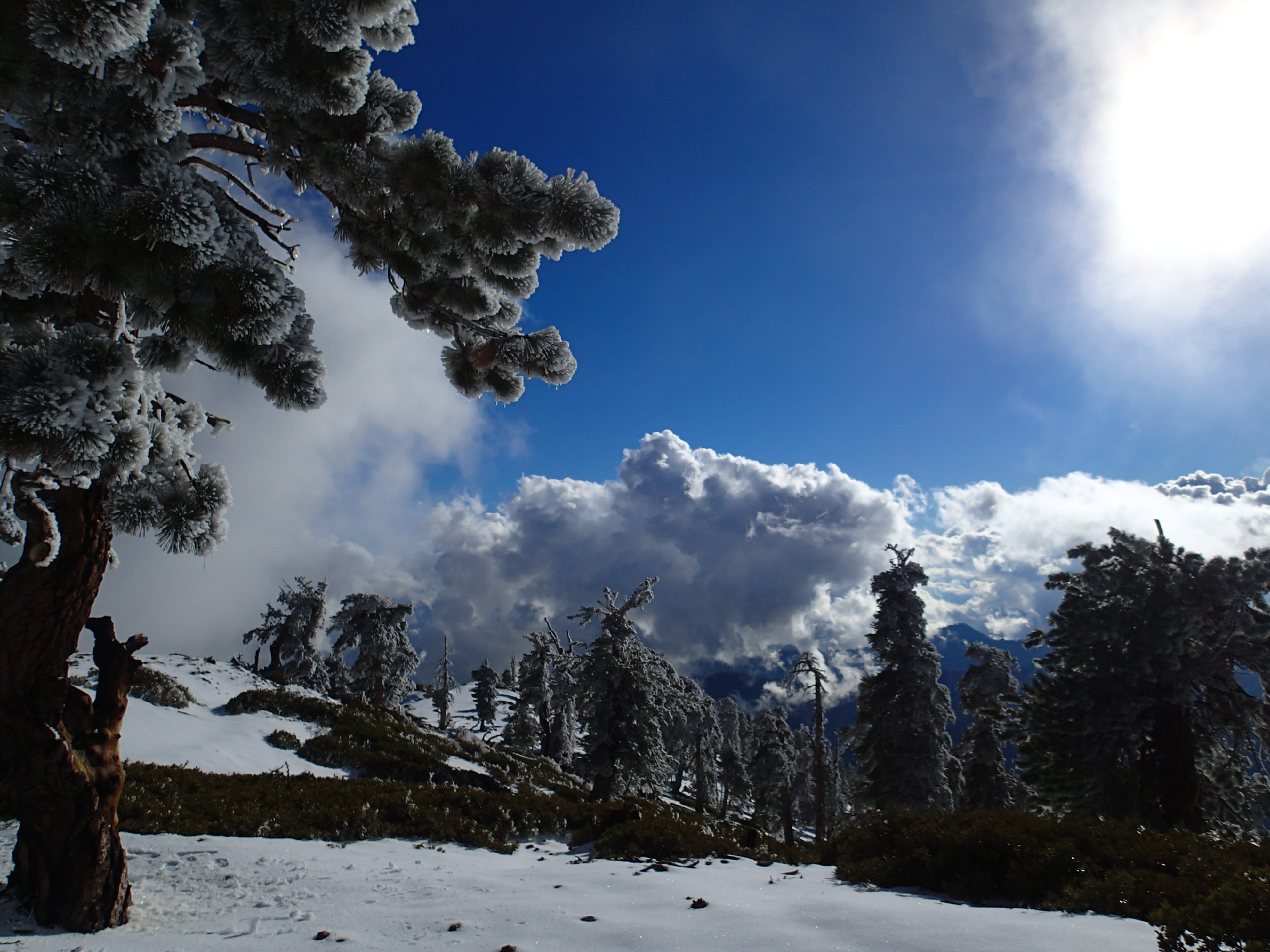 Summit Mt. Baden-Powell