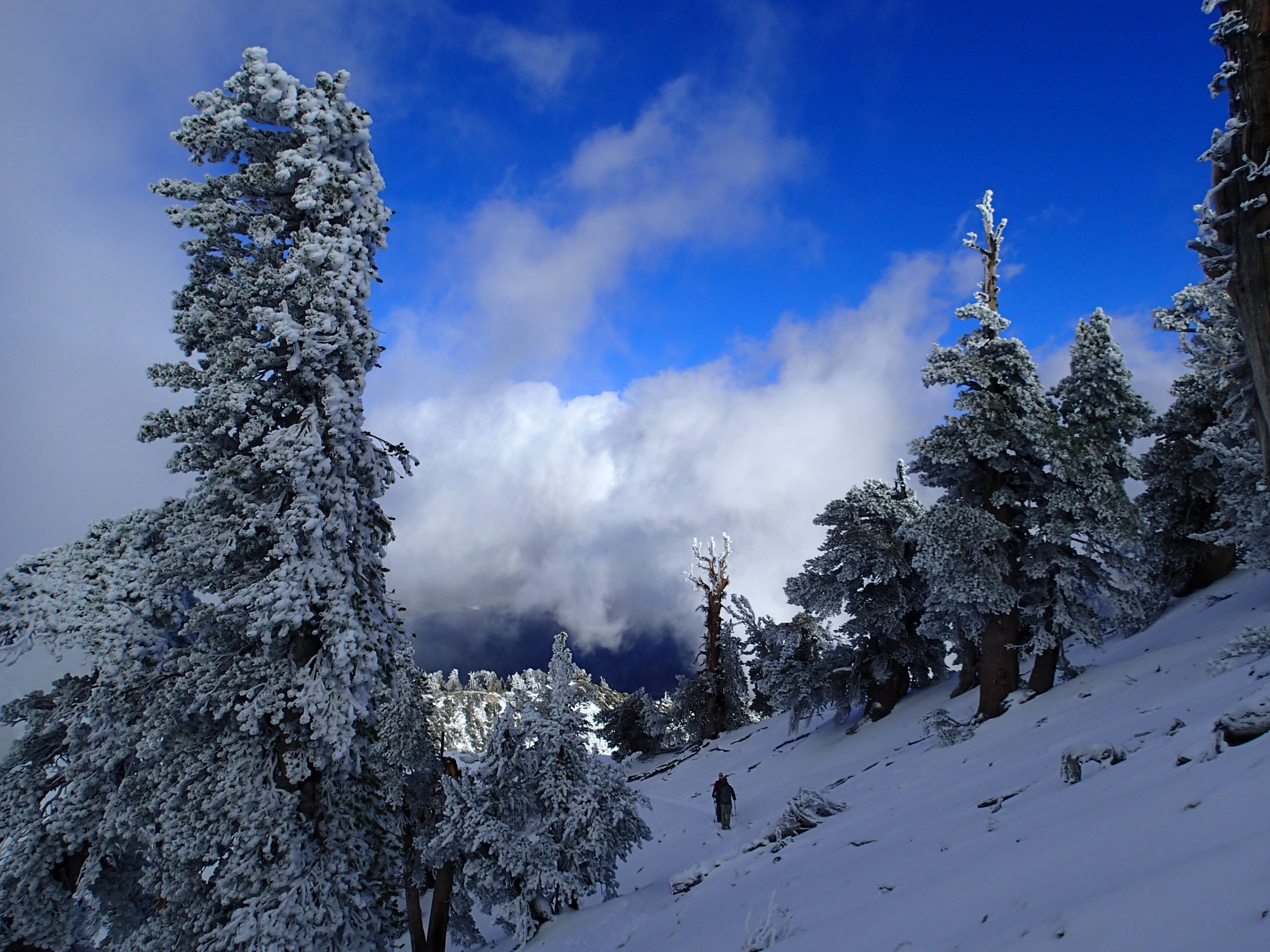 Summit Mt. Baden-Powell