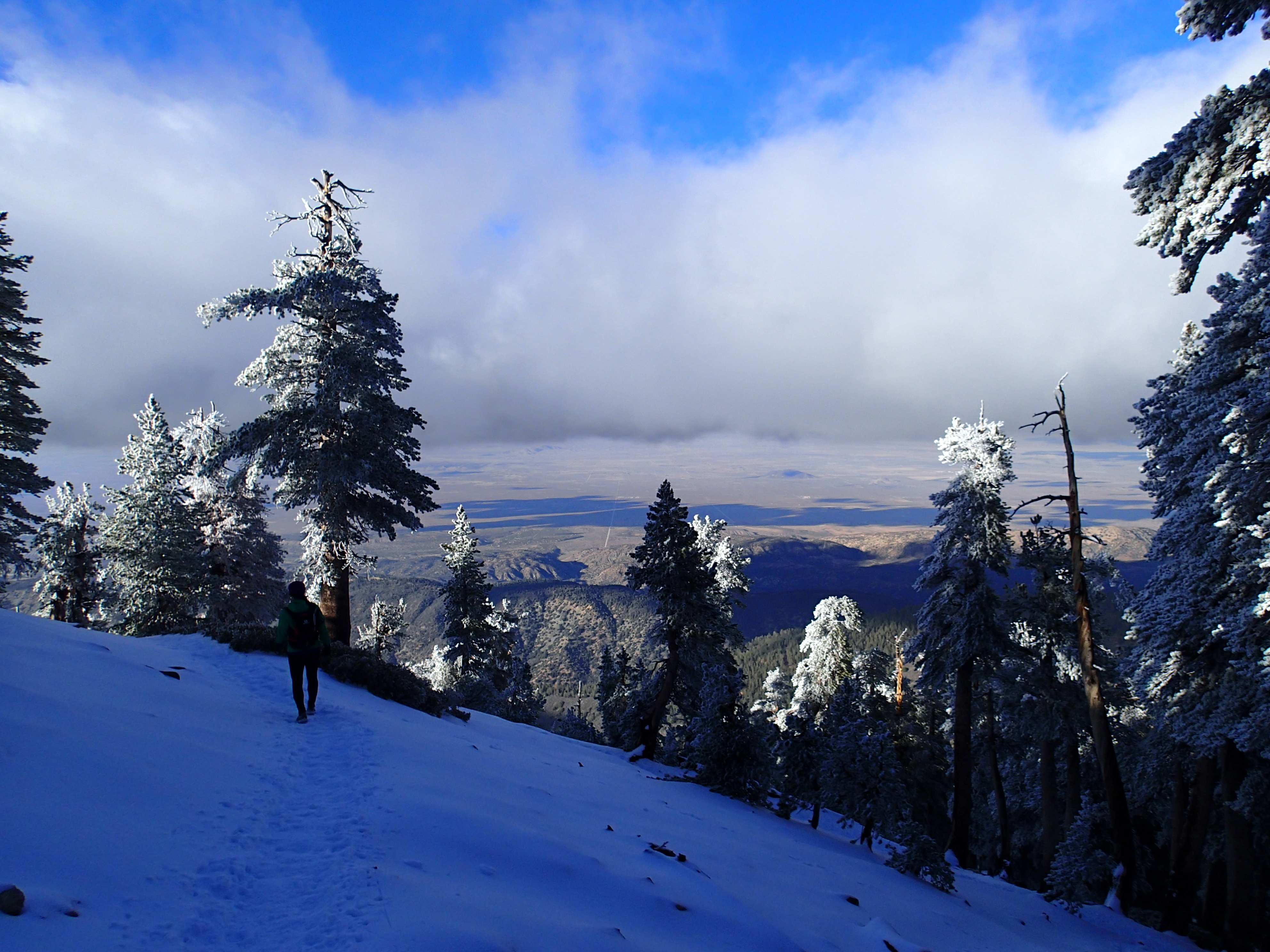 Summit Mt. Baden-Powell