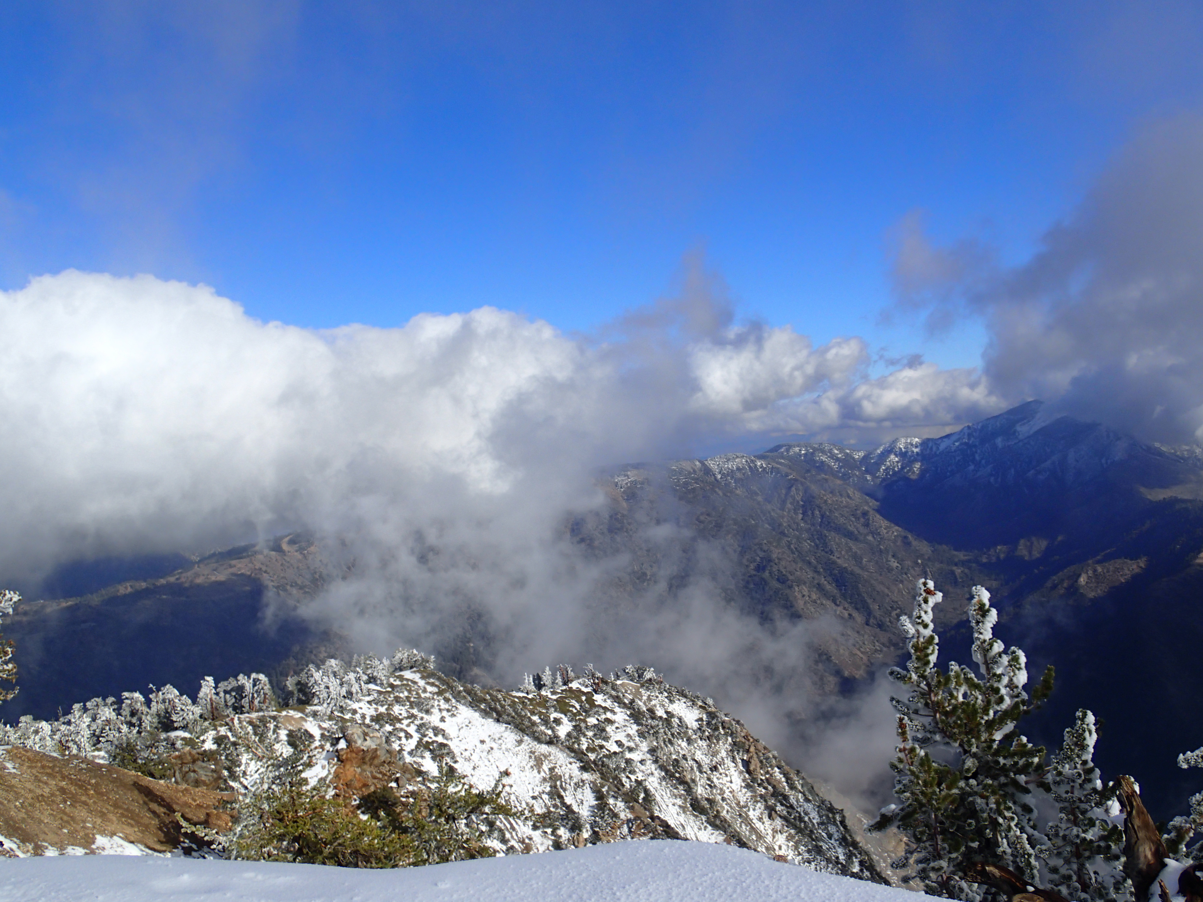 Summit Mt. Baden-Powell