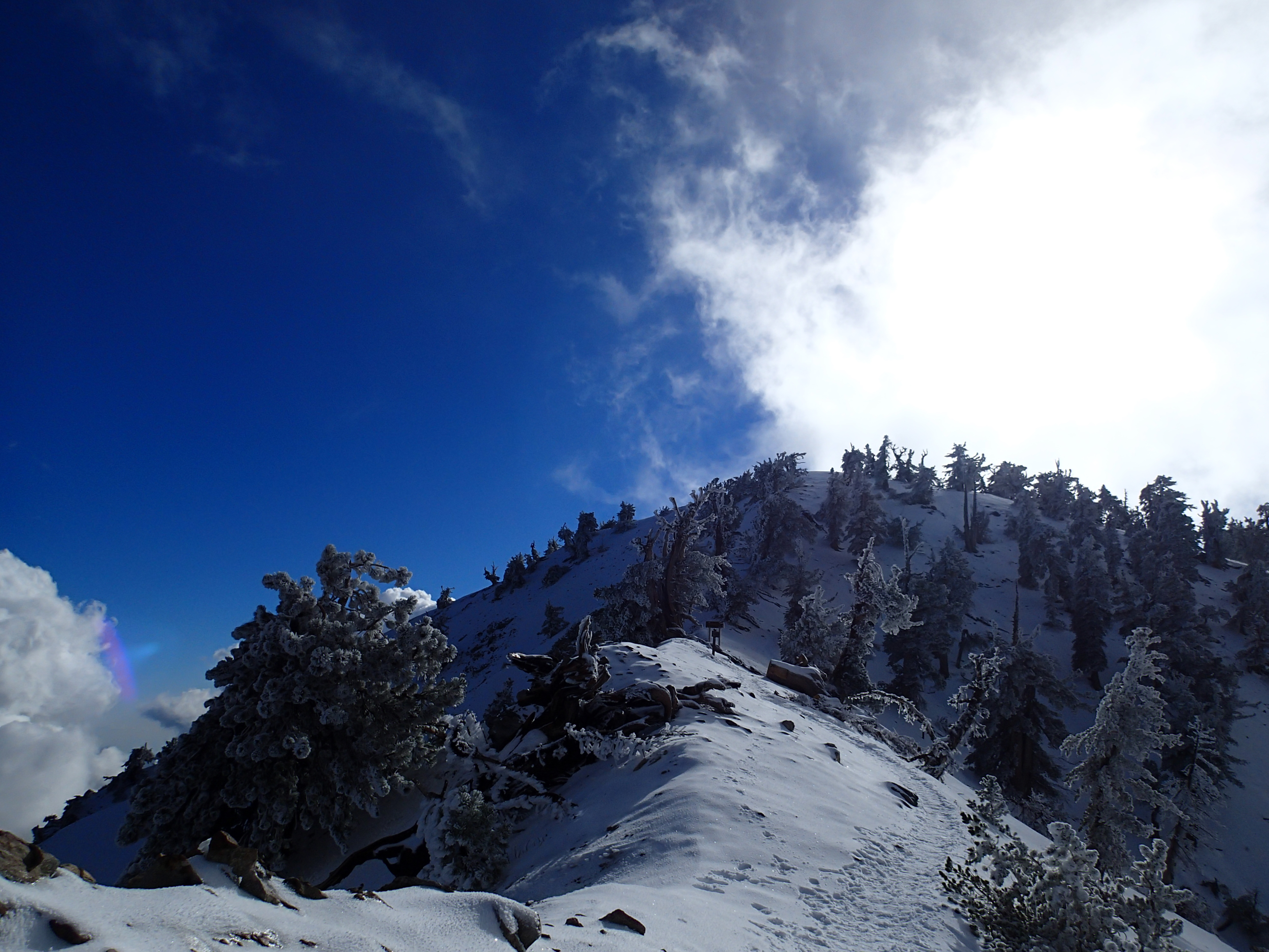 Summit Mt. Baden-Powell