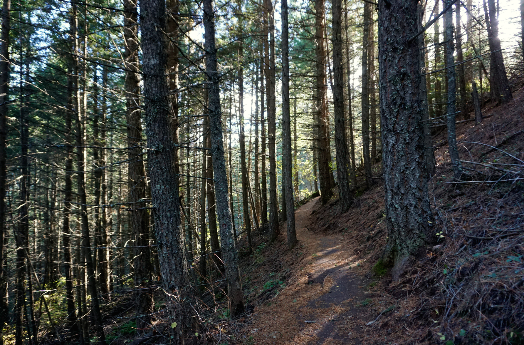 Hike Liberty Lake Loop, Liberty Lake, Washington