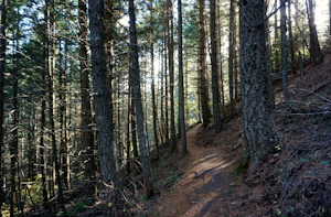 Hike Liberty Lake Loop