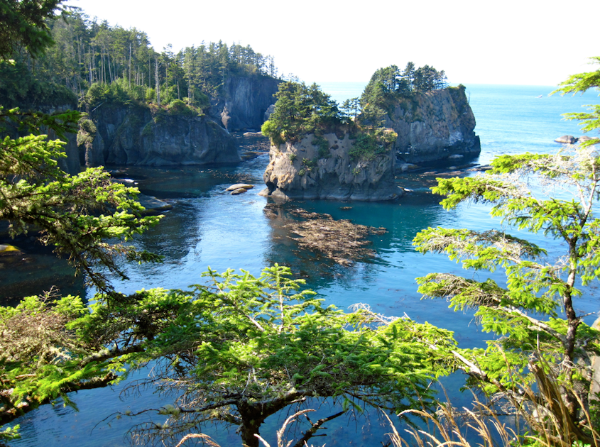 Hike to Cape Flattery, Cape Flattery Trailhead