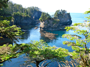 Hike to Cape Flattery