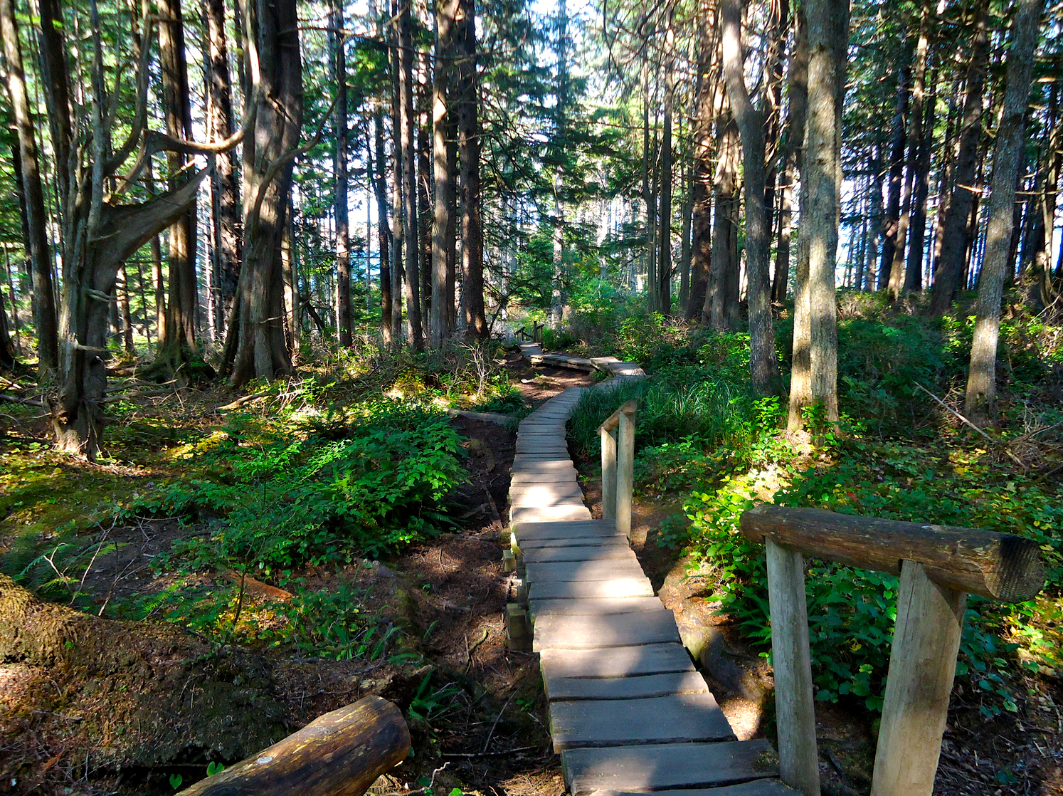Cape Flattery