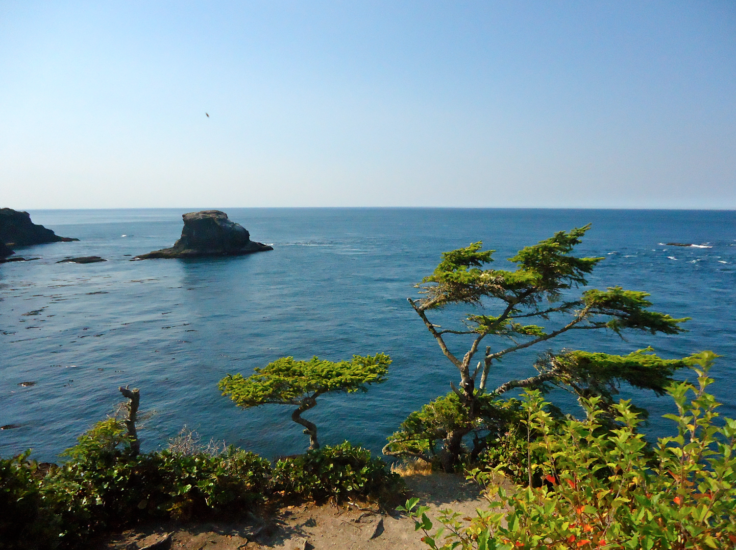 Cape Flattery